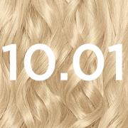 Garnier Nutrisse Permanent Hair Dye (Various Shades) - 10.01 Baby Blon...