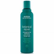 Aveda Botanical Repair Routine