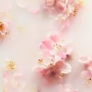 Rituals The Ritual of Sakura Rice Milk & Cherry Blossom Refill Hand Wa...