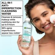 Garnier Salycilic Fresh & Matte 3-Step Bundle