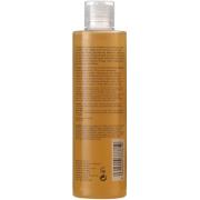 Sanctuary Spa 2 Day Long Lasting Moisture Shower Oil 250ml