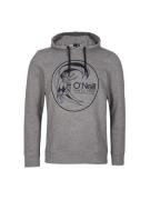 Sweatshirt 'Circle Surfer'