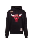 Sweatshirt 'Chicago Bulls'