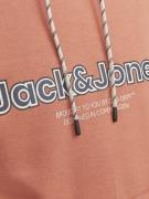 Sweatshirt 'JJLakewood'