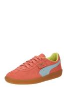 Sneakers laag 'Palermo'