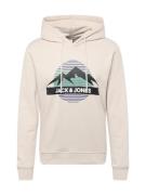 Sweatshirt 'JJPEAK'