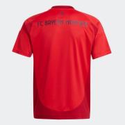 Functioneel shirt 'FC Bayern 24/25 Away'