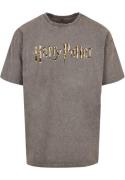 Shirt 'Harry Potter - Colour Logo'