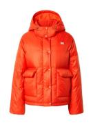 Winterjas 'Luna Core Puffer Short'