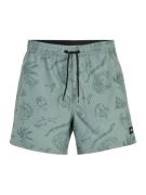 Boardshorts