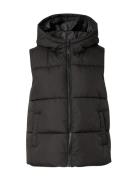 Bodywarmer 'PCBEE'