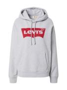 Sweatshirt 'Graphic Standard Hoodie'