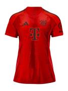 Tricot 'FC Bayern München 2024/2025'