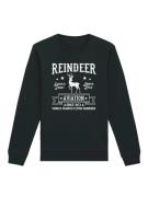 Sweatshirt 'Weihnachten Reindeer Aviation'