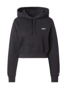 Sweatshirt 'Script Hoodie'