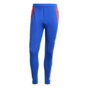 Pantalon de sport 'Tiro 24 Competition'