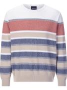 Pull-over ' Carianetto '