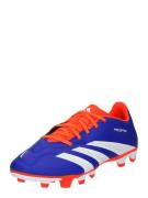 Chaussure de foot 'PREDATOR CLUB'