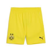 Pantalon de sport 'Borussia Dortmund 24/25'