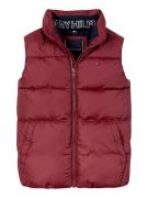 Gilet