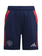 Pantalon de sport 'Manchester United Tiro 24'