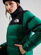 Veste d’hiver '1996 Retro Nuptse'