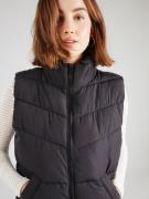 Gilet 'NMDalcon'