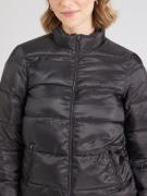 Veste d’hiver 'ALISTER'