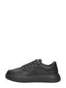 Calvin Klein - Low Top Lace Up Zip Mono