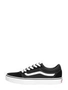 Vans - Ward