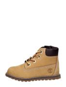 Timberland - Pokey Pine 6 Inch Boot