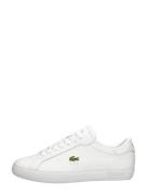 Lacoste - Powercourt