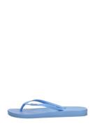 Ipanema - Anatomic Colors