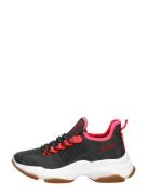 Steve Madden - Mac