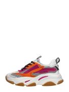 Steve Madden - Possession