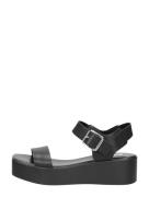 Steve Madden - Basher