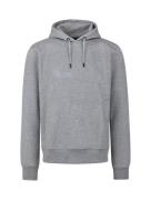 Cruyff - Hernandez Hoodie Licht Grijs