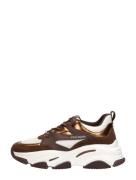 Steve Madden - Progressive