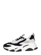 Steve Madden - Possession-e