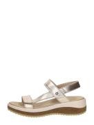 Panama Jack - Alana Shine