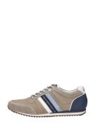 Australian - Camaro