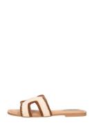 Steve Madden - Zarnia