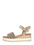 Toms - Diana