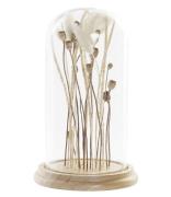 ITEM International Decoratieve objecten Decoration Dry Flower Glass Wi...