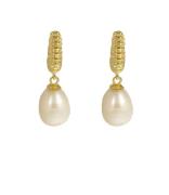 Earring With Sweetwater Pearl 424106Y