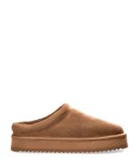 CPH249 Suede