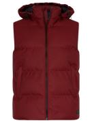 Cavallaro Tanino bodywarmer