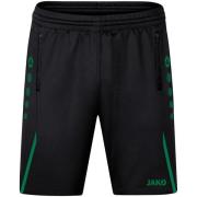 Jako Trainingsshort challenge 8521-813