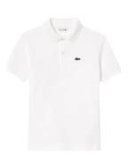 Lacoste Polo pj2909-41