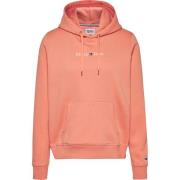 Tommy Hilfiger Reg serif linear hoodie